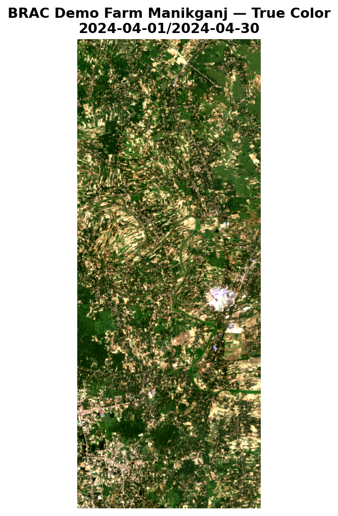 True color satellite image